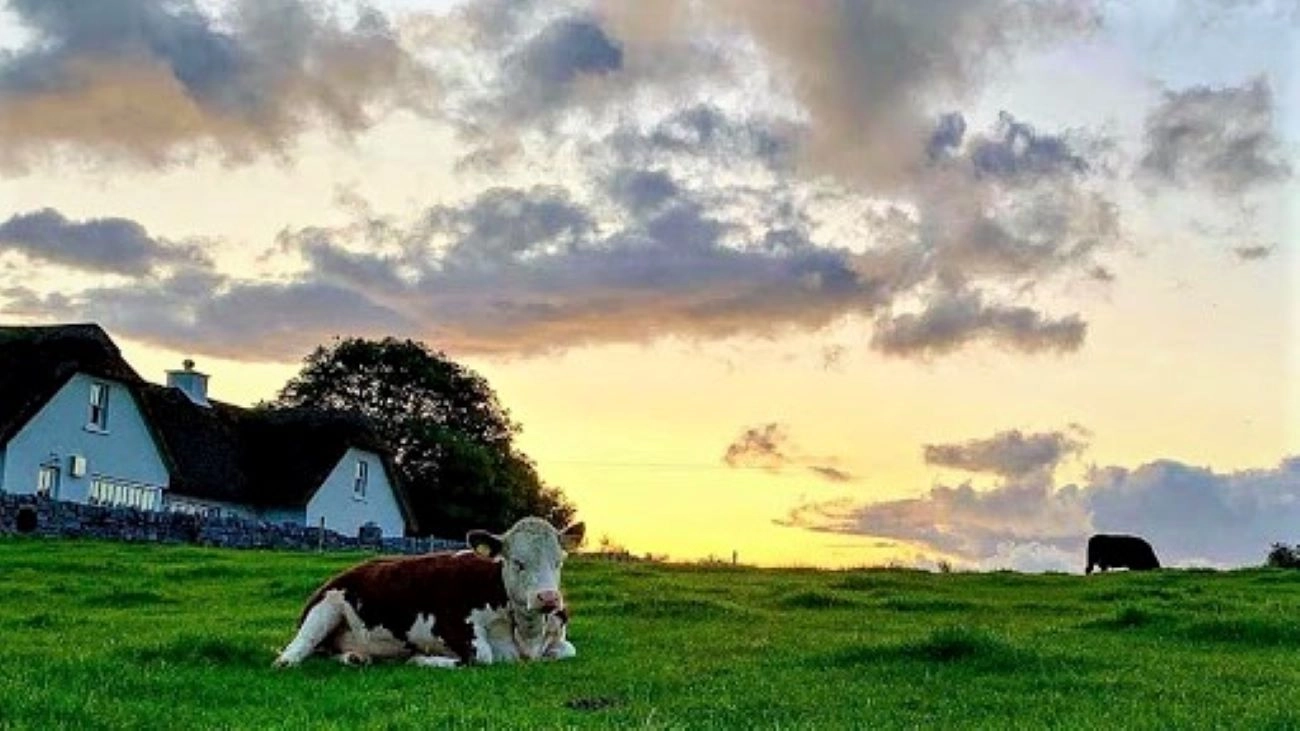 The Importance of Skill Development in Farming in Ireland